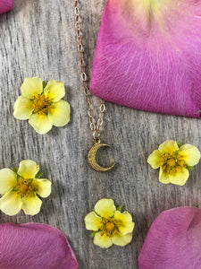 Brass Crescent Moon Choker