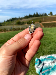 Faceted Labradorite Charm Necklace